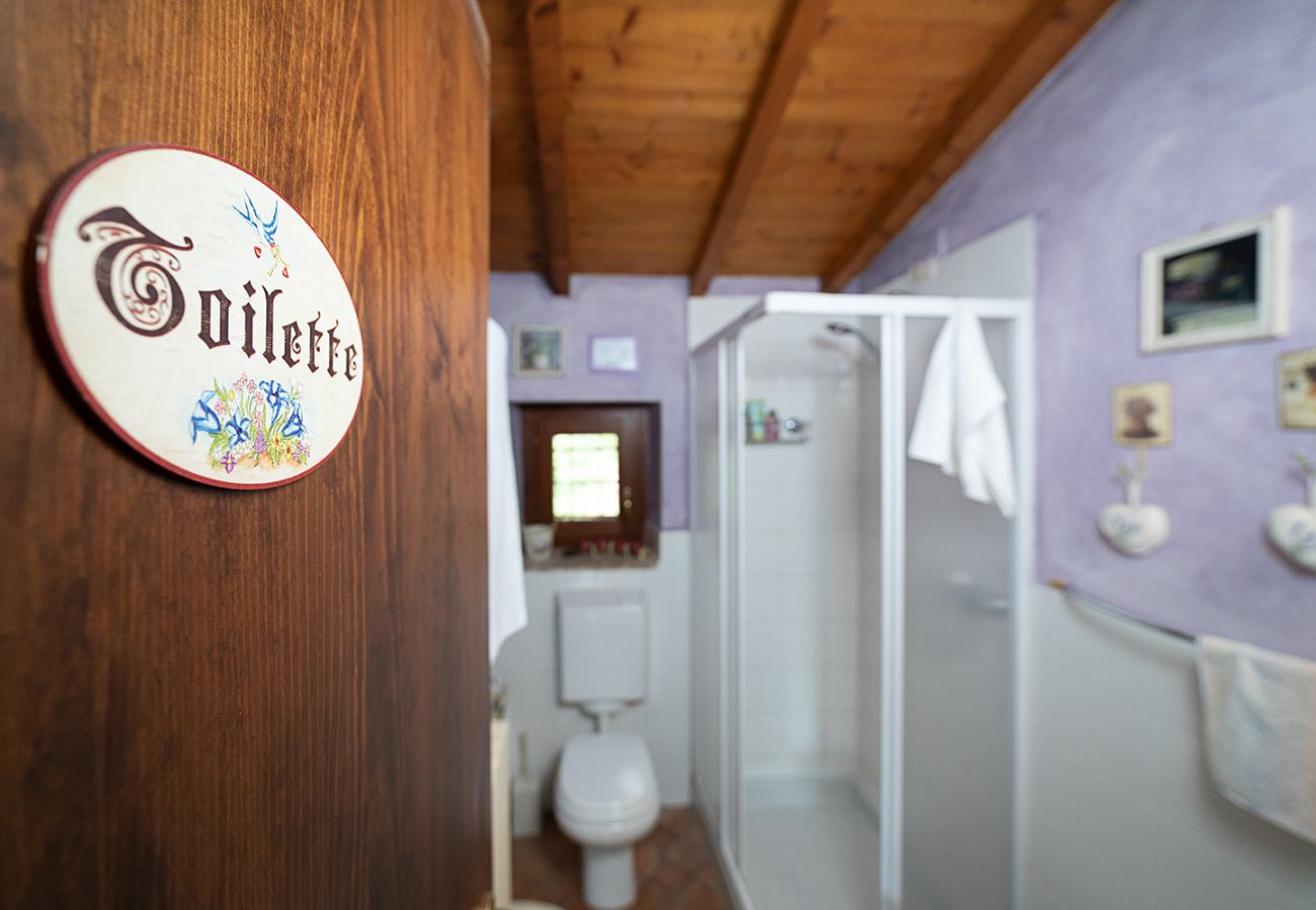 Doppelhaushälfte in Lazise - COUNTRYHOUSE NOCINO 1