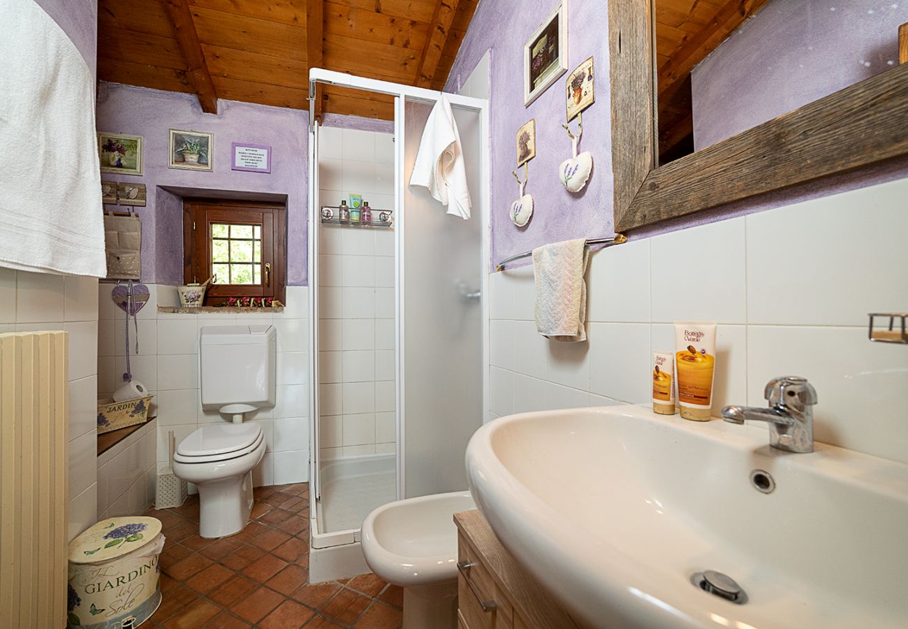 Doppelhaushälfte in Lazise - COUNTRYHOUSE NOCINO 1