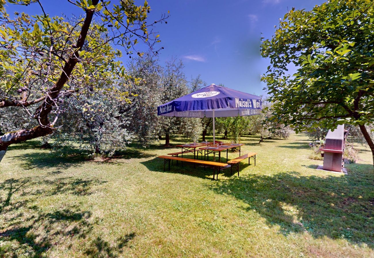Villa in Puegnago sul Garda - Villa Fiorita with olive groove Bookinggardalake