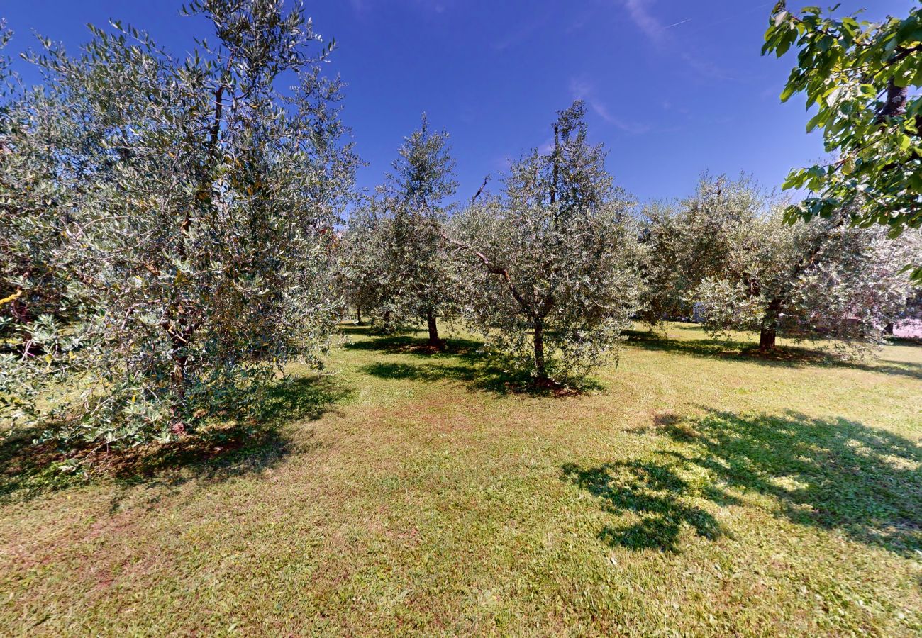 Villa in Puegnago sul Garda - Villa Fiorita with olive groove Bookinggardalake