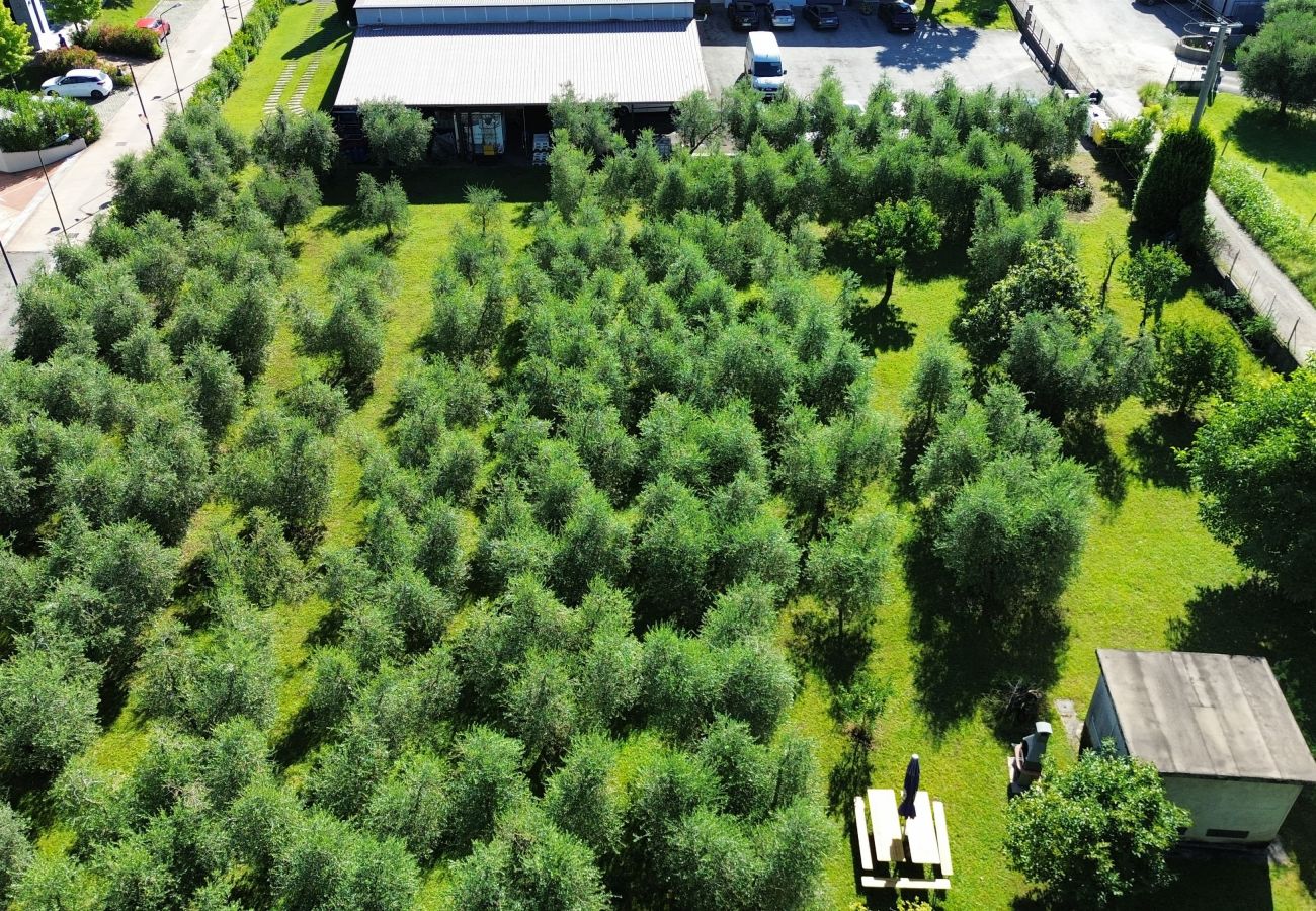 Villa in Puegnago sul Garda - Villa Fiorita with olive groove Bookinggardalake