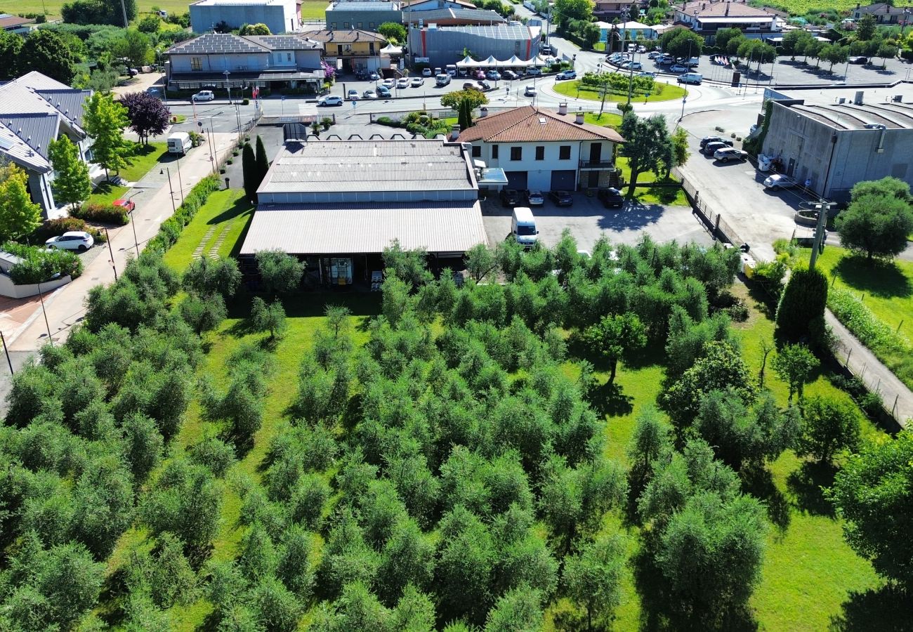 Villa in Puegnago sul Garda - Villa Fiorita with olive groove Bookinggardalake