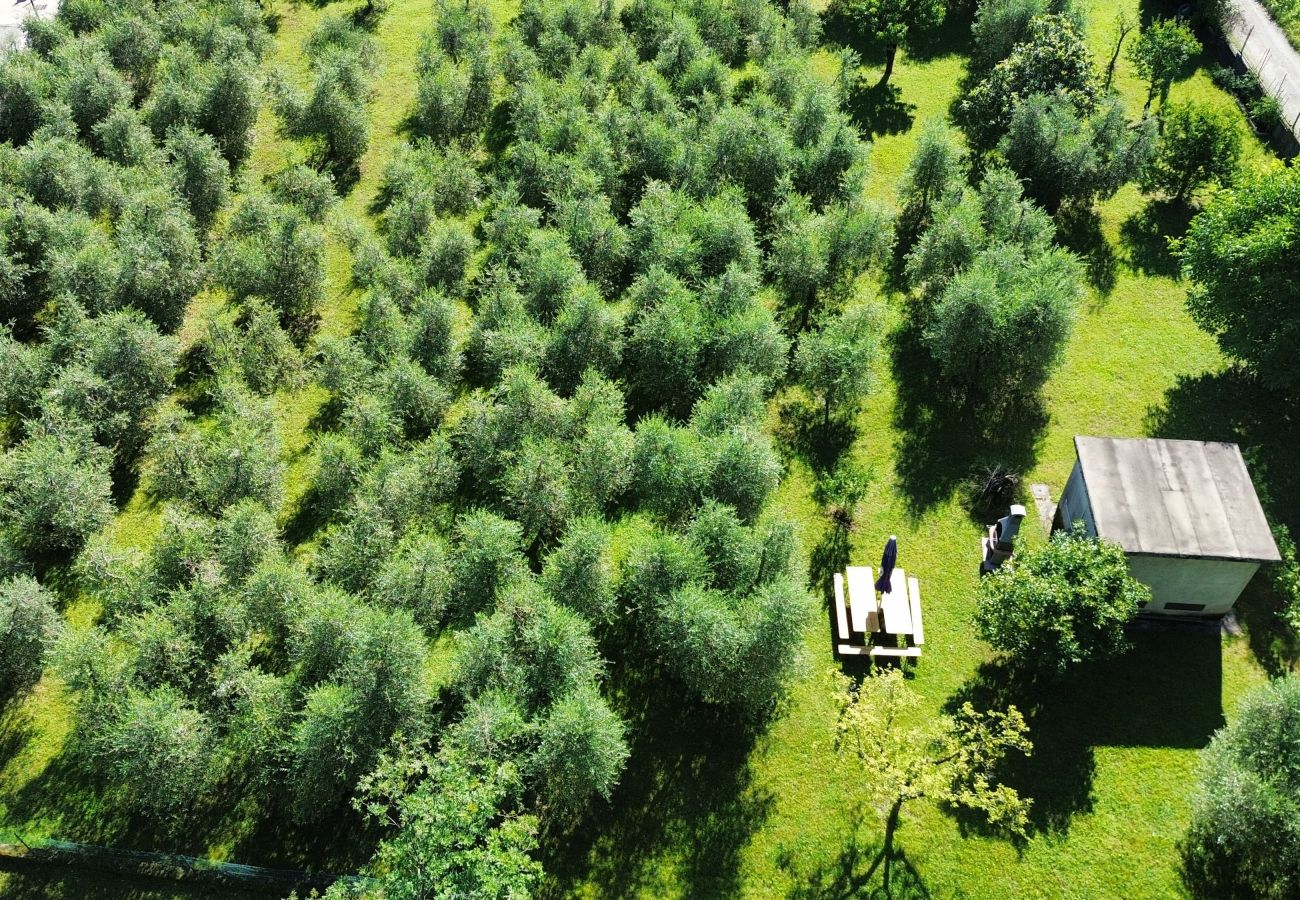 Villa in Puegnago sul Garda - Villa Fiorita with olive groove Bookinggardalake
