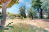 Villa in Sirmione - Villa Valentine 200 mt to the beach  by Bookinggar