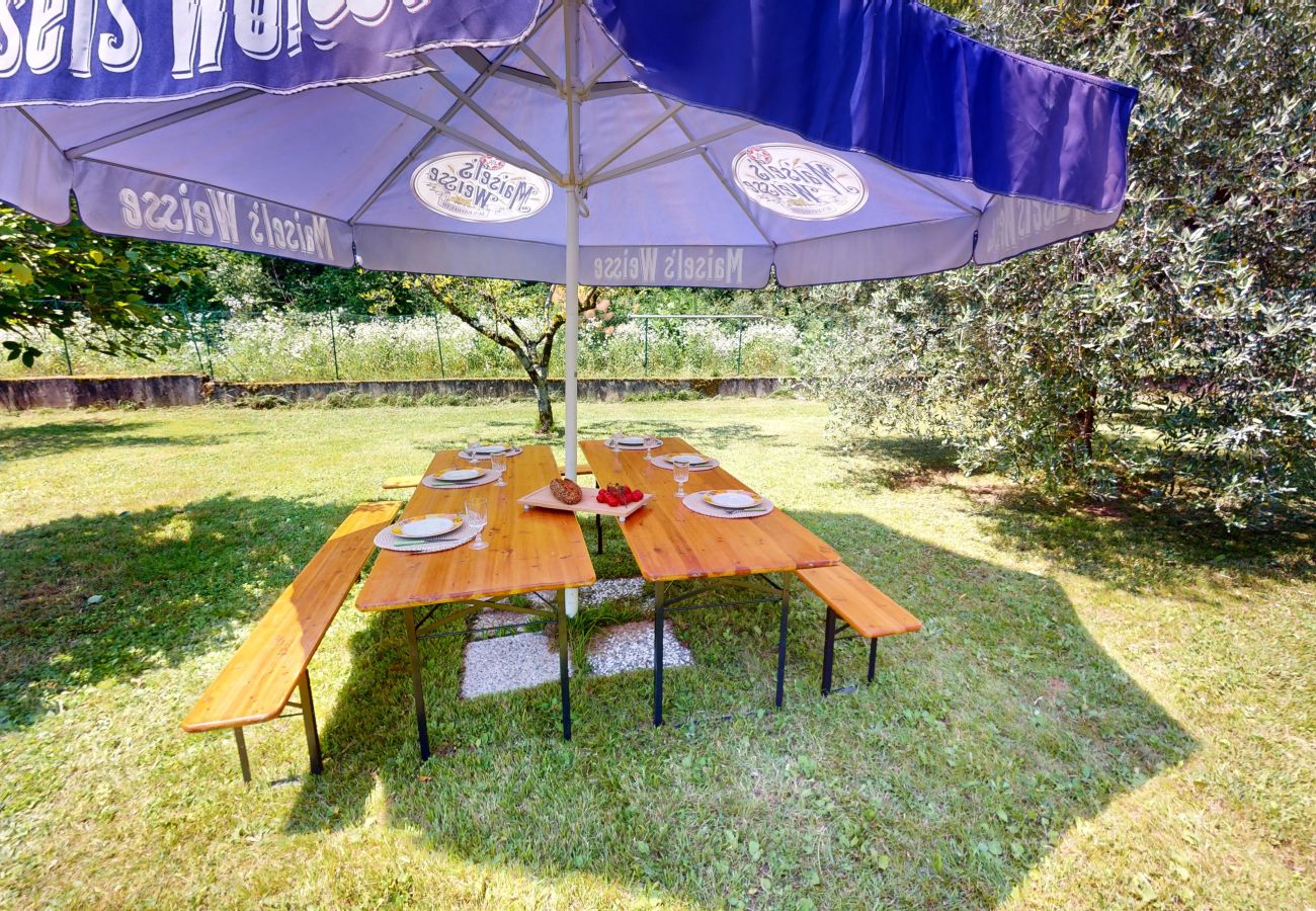 Villa in Puegnago sul Garda - Villa Fiorita with olive groove Bookinggardalake