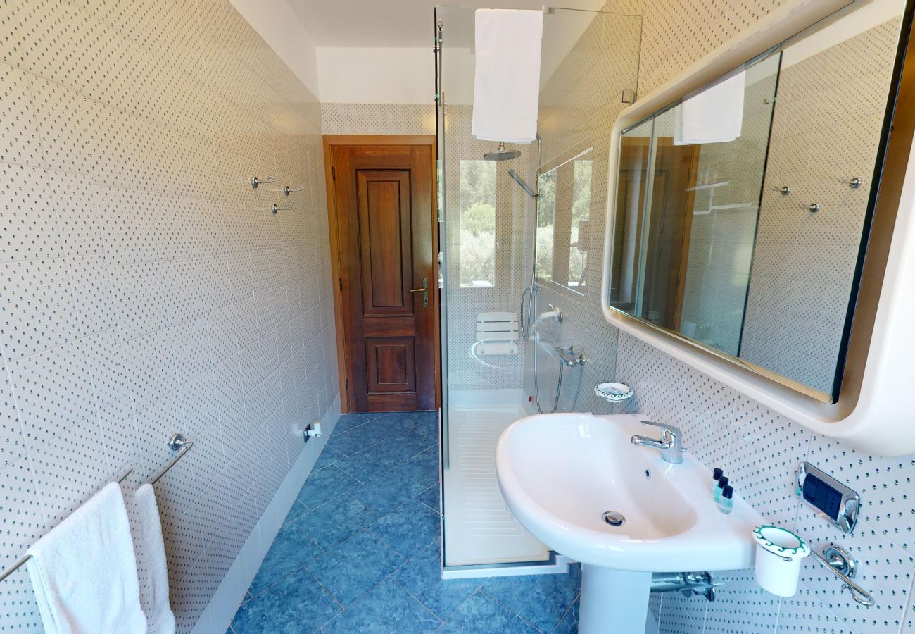 Villa in Puegnago sul Garda - Villa Fiorita with olive groove Bookinggardalake