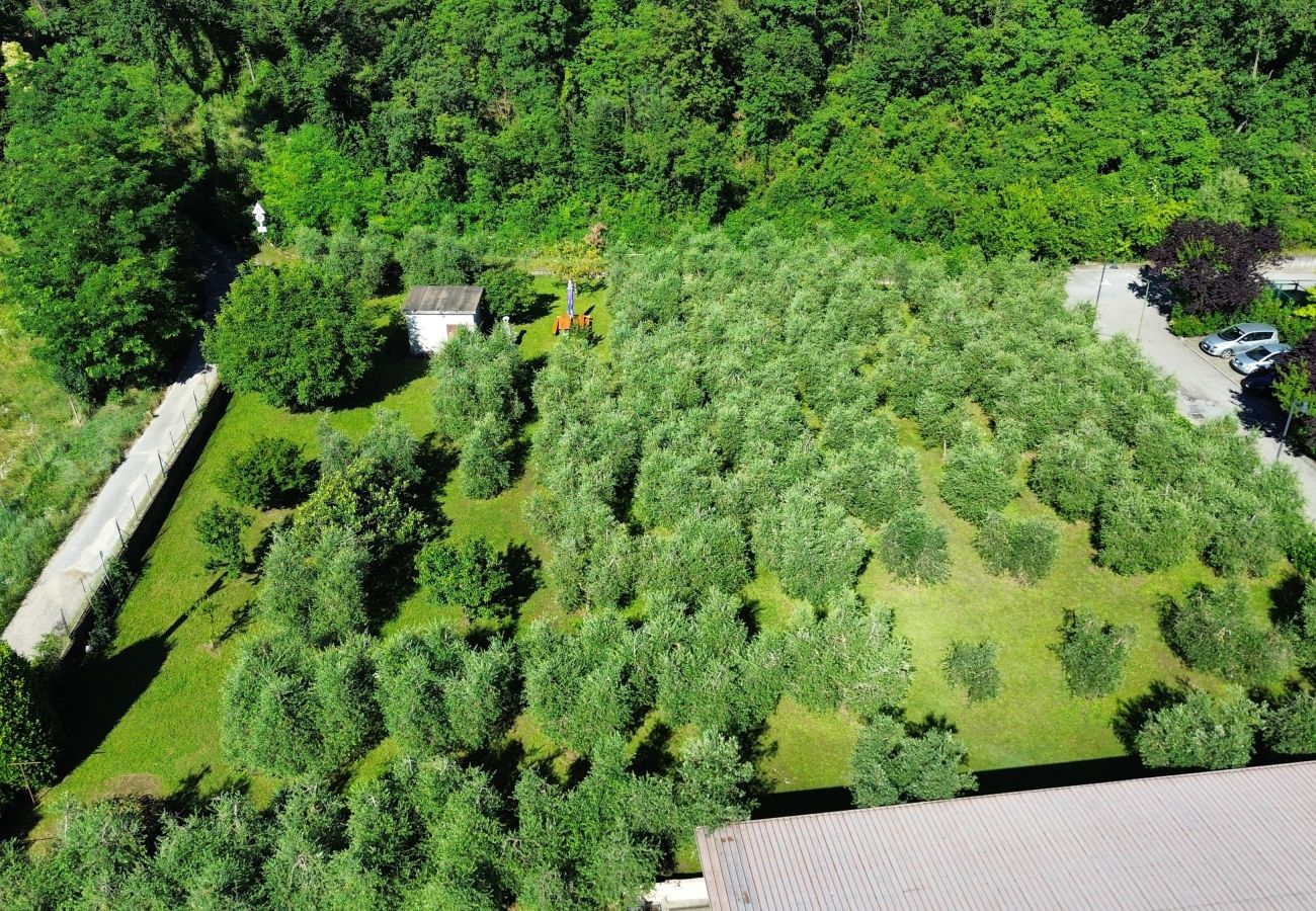 Villa in Puegnago sul Garda - Villa Fiorita with olive groove Bookinggardalake